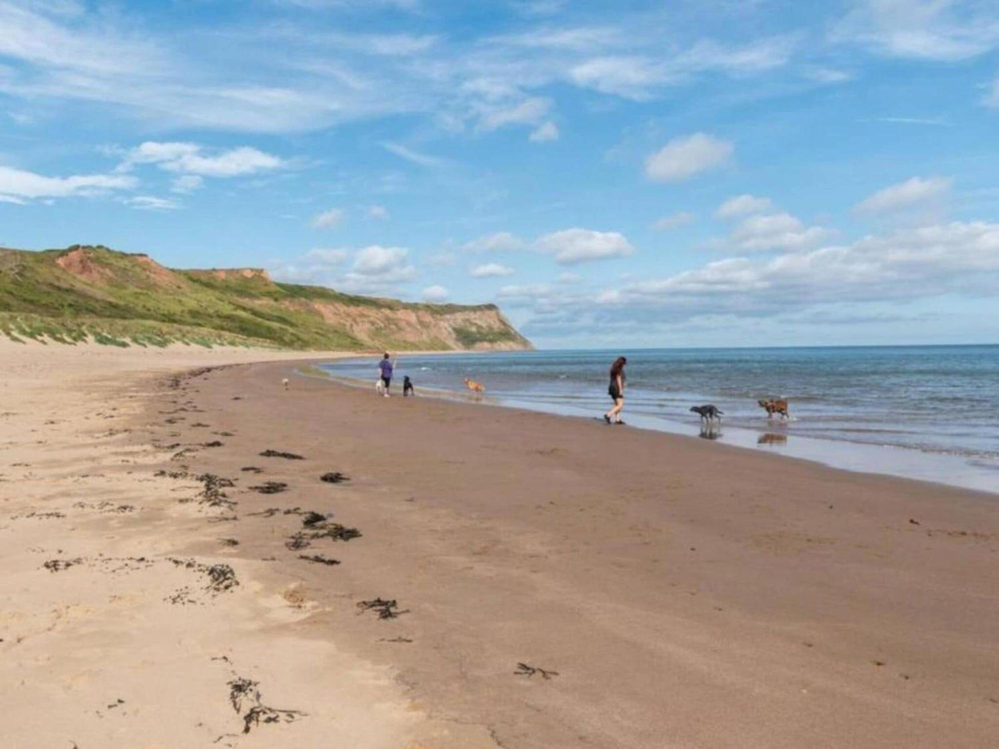 Cove Hideaway 1Bhk Apt 10 In Skinningrove Buitenkant foto